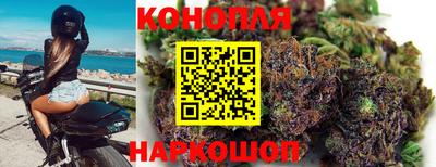 СК Волгодонск