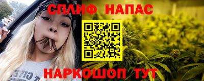 СК Волгодонск