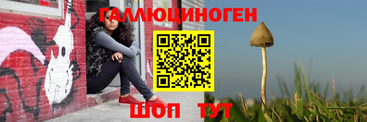 Псилоцибиновые грибы мухоморы Минусинск